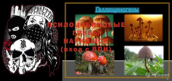 прущая мука Верея