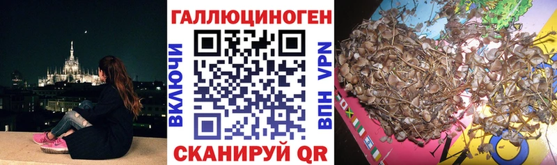 Псилоцибиновые грибы MAGIC MUSHROOMS  цена   Киселёвск 